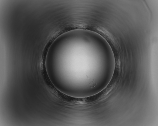 X0000094780552200711161418
