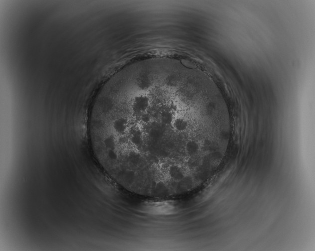 X0000094780553200711161418