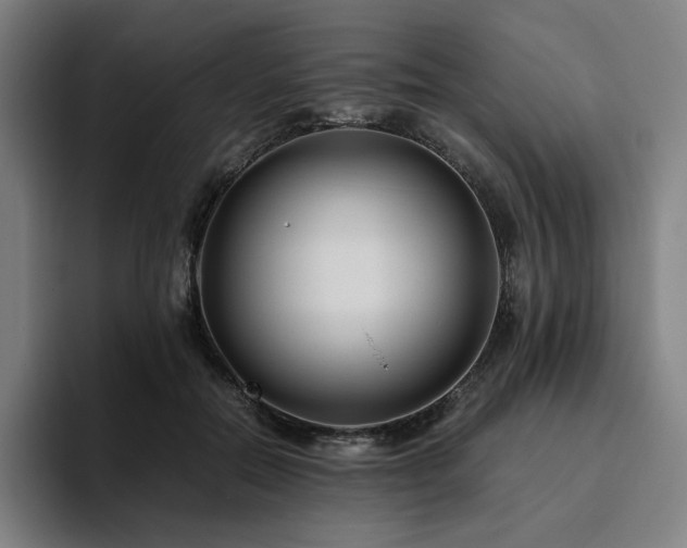 X0000094780554200711161418