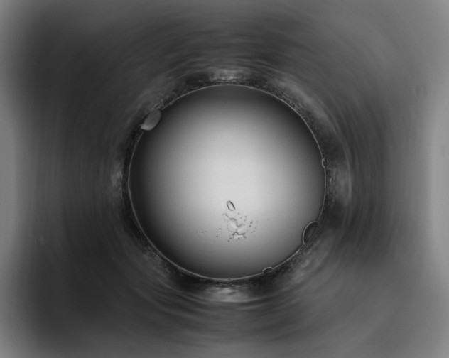 X0000094780557200711161418
