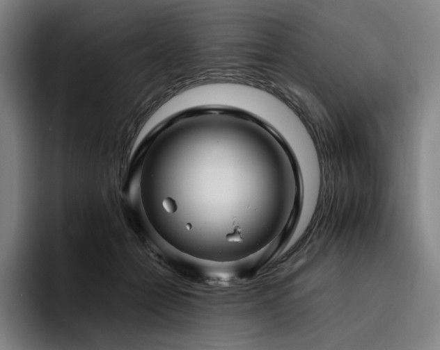X0000094780558200711161418
