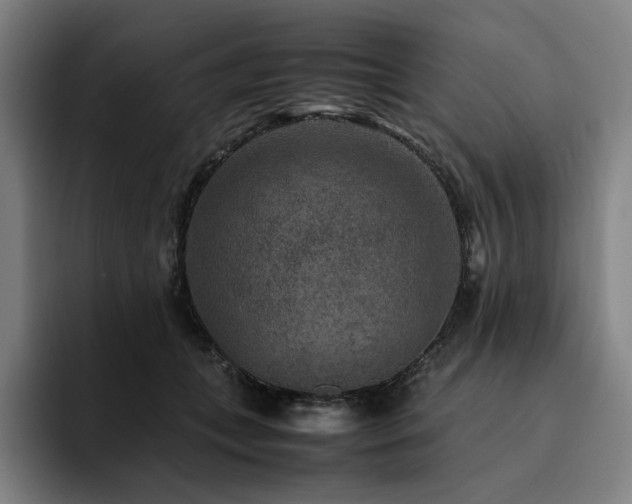 X0000094780559200711161418