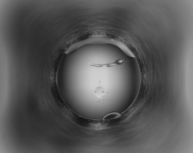 X0000094780561200711161418