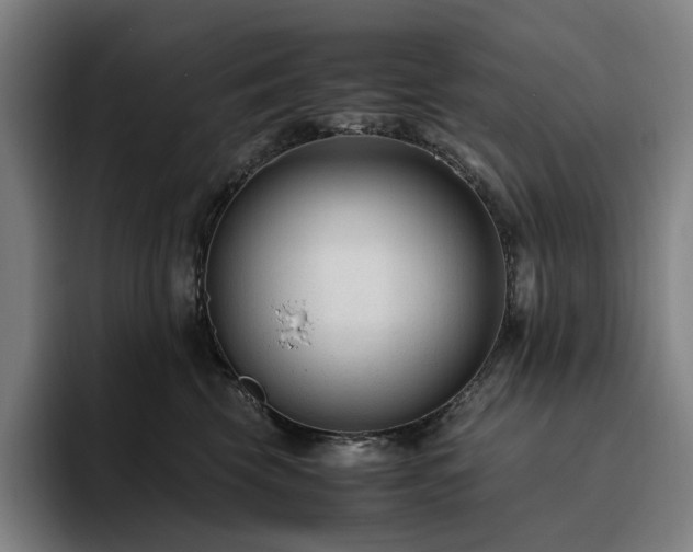 X0000094780569200711161418