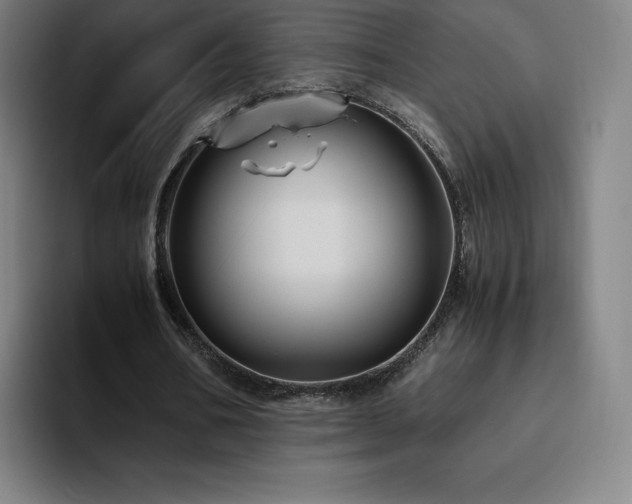 X0000094780578200711161418