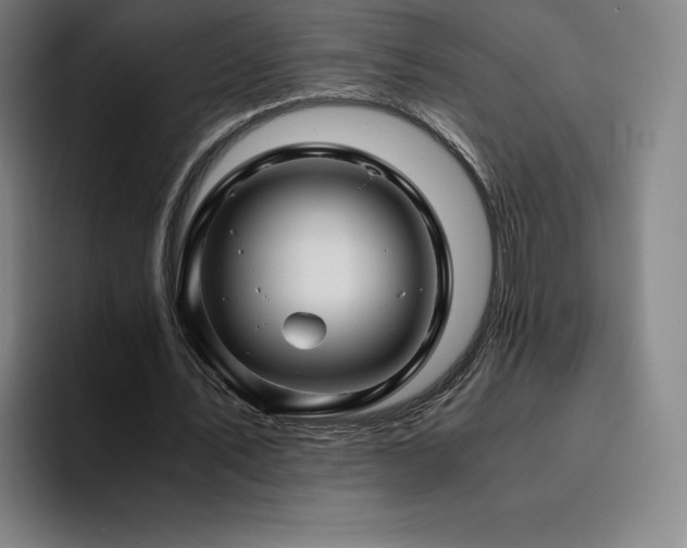 X0000094780579200711161418