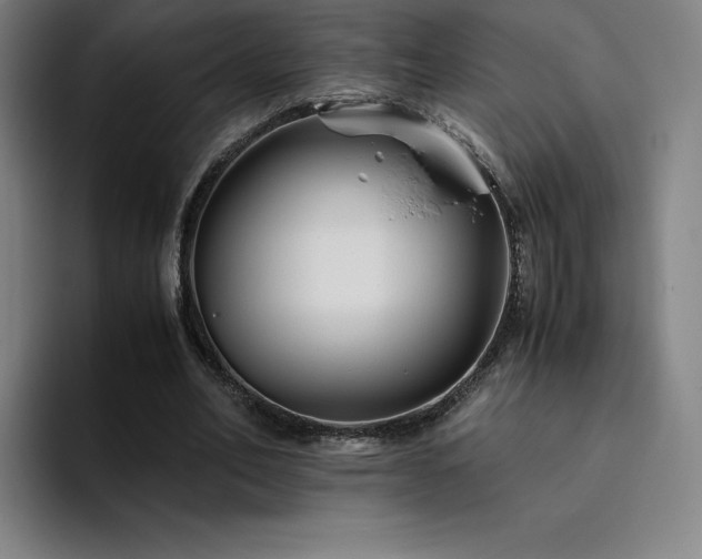 X0000094780582200711161418