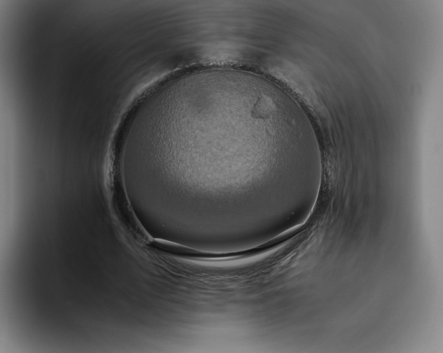 X0000094780583200711161418
