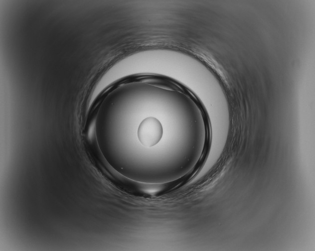X0000094780585200711161417