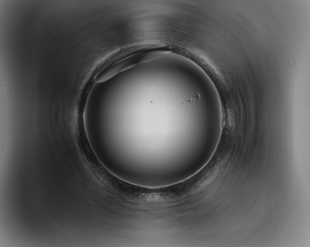 X0000094780588200711161417