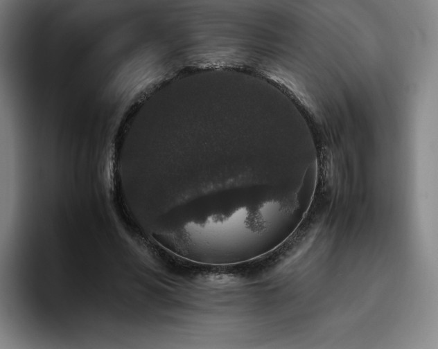 X0000094780590200711161417