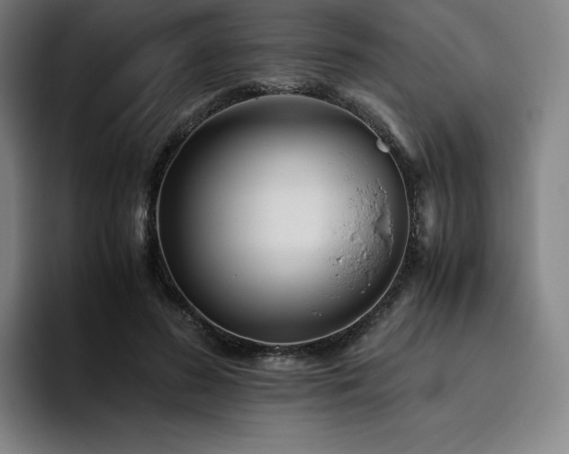 X0000094780596200711161417