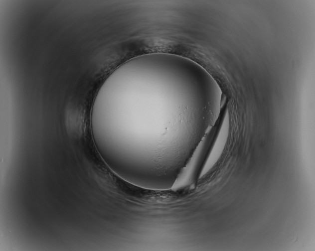 X0000094780599200711161417