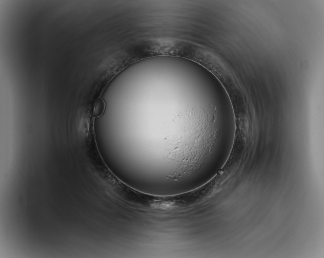 X0000094780602200711161417