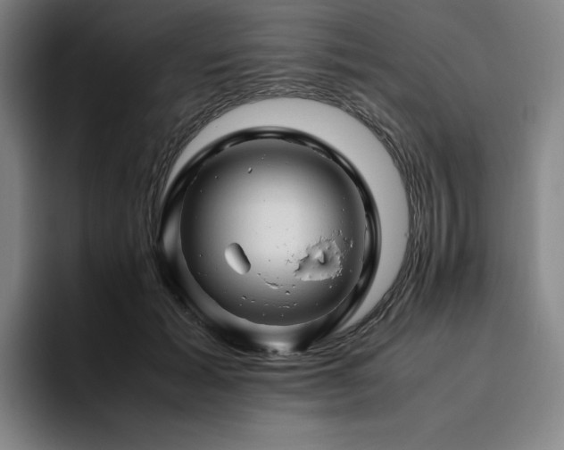 X0000094780605200711161417