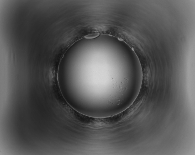 X0000094780608200711161417
