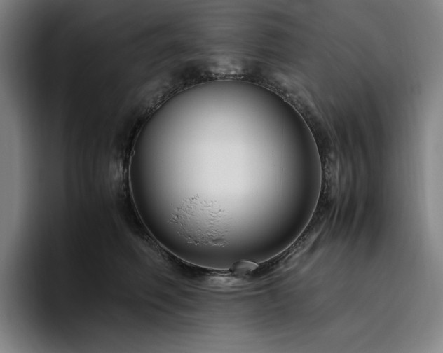 X0000094780614200711161417