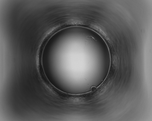 X0000094780629200711161416