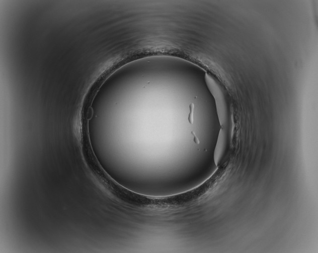 X0000094780630200711161416