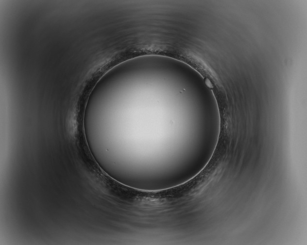 X0000094780635200711161416