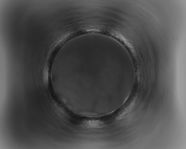 X0000094780637200711161417