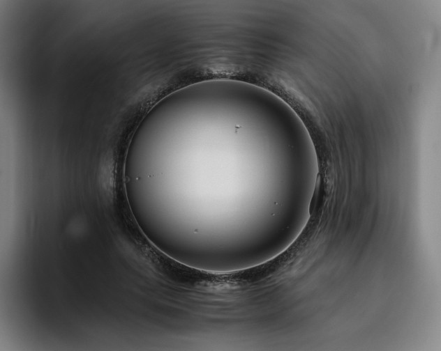 X0000094780639200711161417