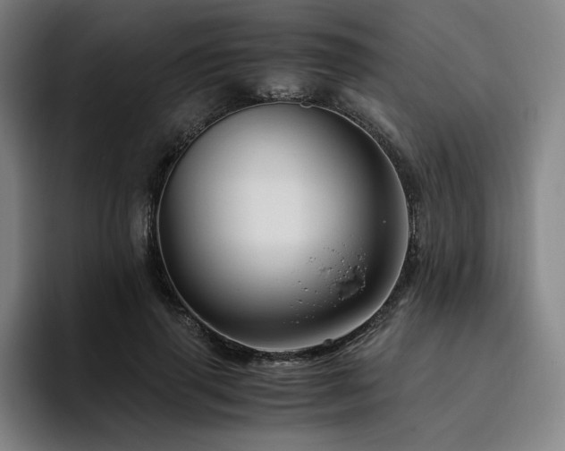 X0000094780645200711161417