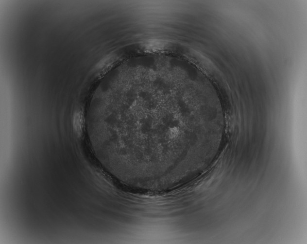 X0000094780648200711161417