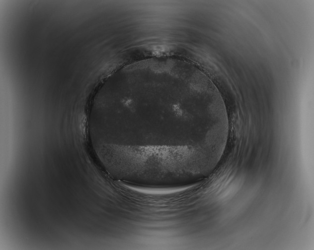 X0000094780650200711161417
