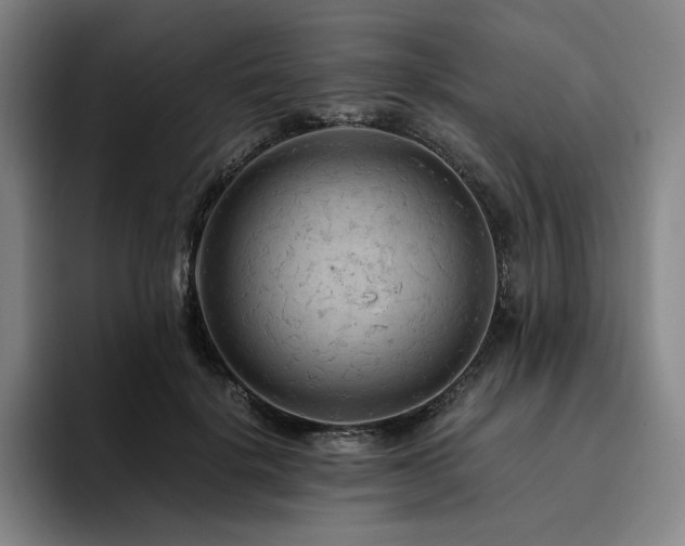 X0000094780652200711161417