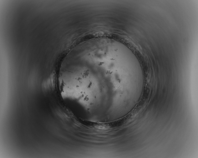X0000094780659200711161417