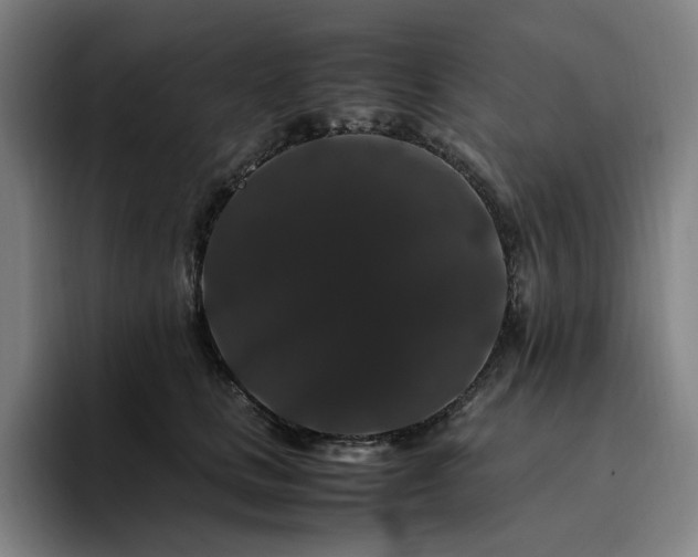 X0000094780661200711161417