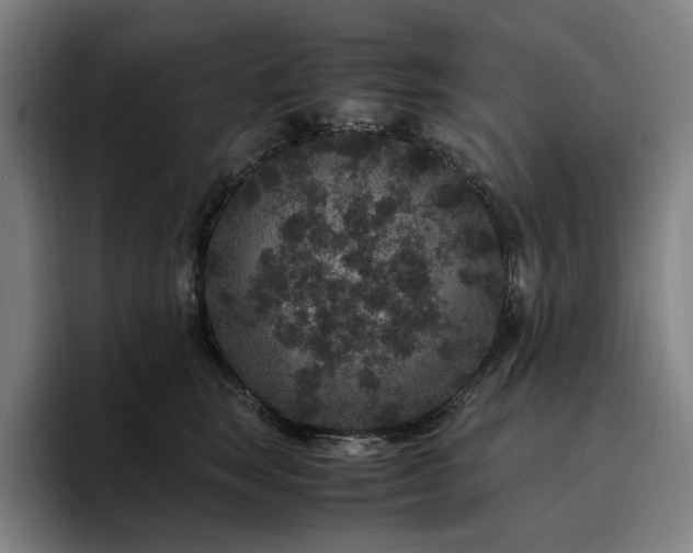 X0000094780663200711161417