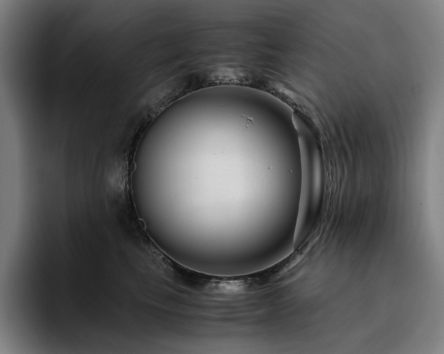X0000094780665200711161417