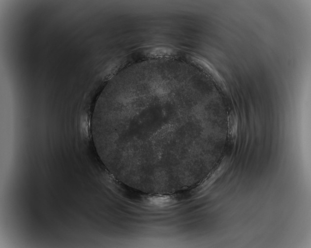 X0000094780669200711161417