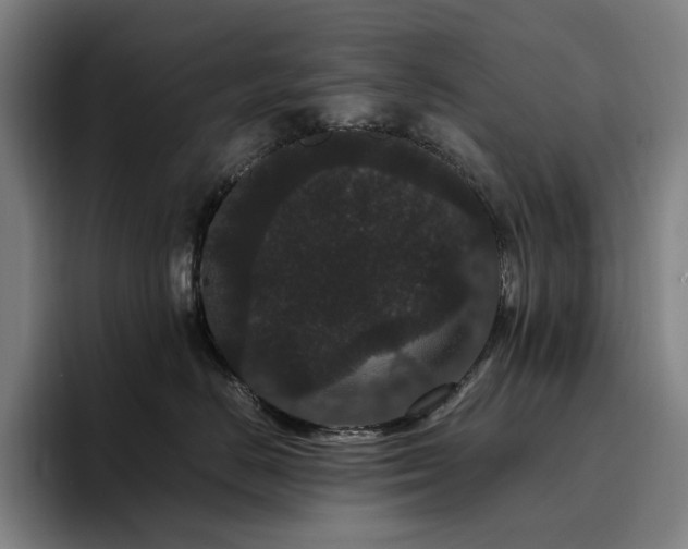 X0000094780670200711161417