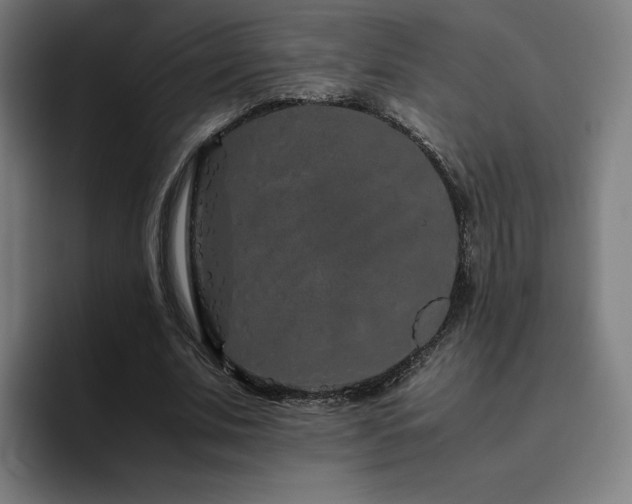 X0000094780679200711161416