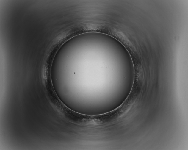 X0000094780683200711161416