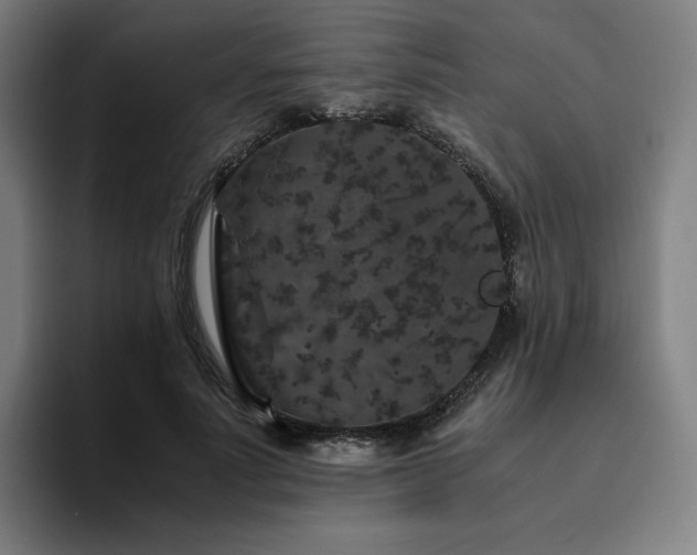 X0000094780691200711161416