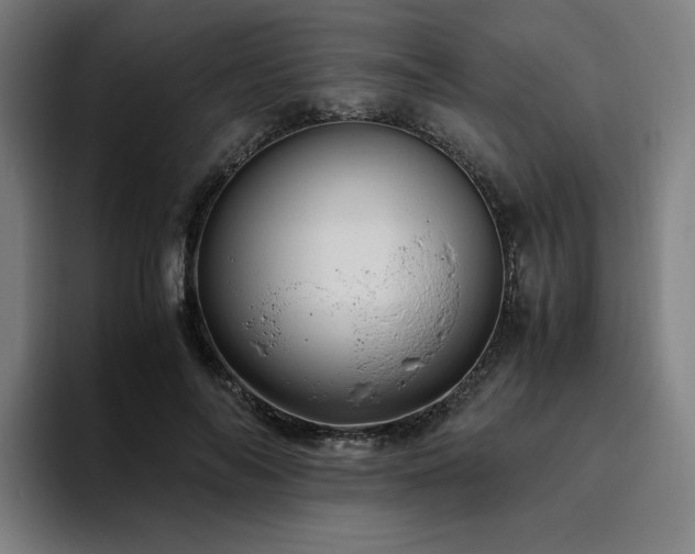 X0000094780694200711161416