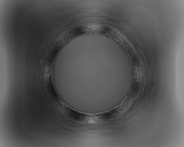 X0000094780701200711161416