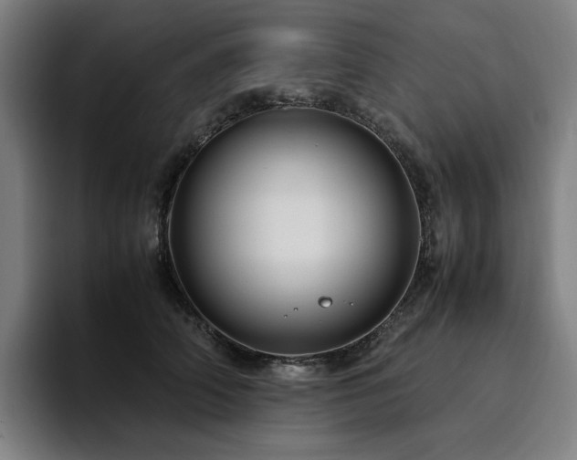 X0000094780706200711161416