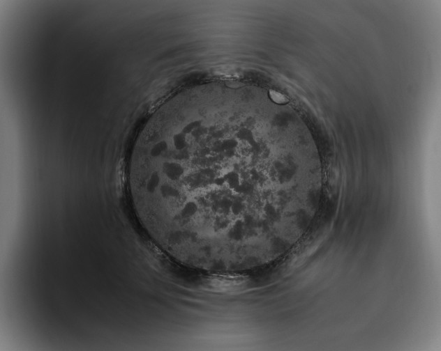 X0000094780707200711161416