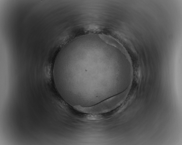 X0000094780708200711161416