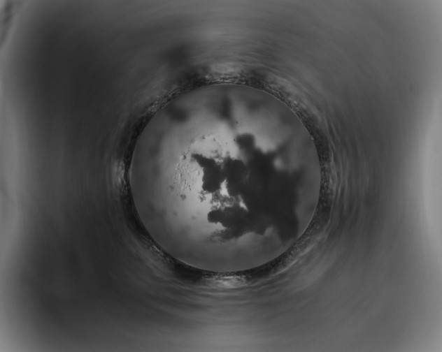 X0000094780711200711161416