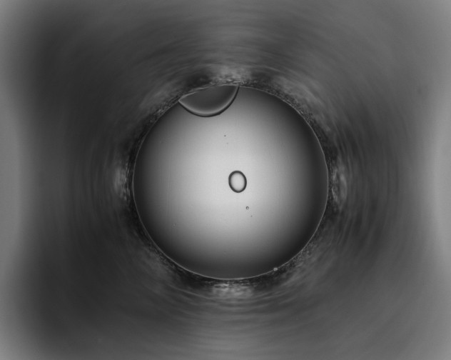 X0000094780714200711161416