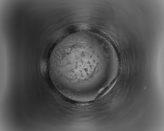 X0000094780715200711161416