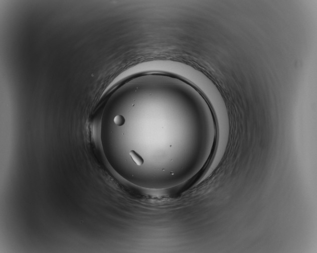 X0000094780720200711161416