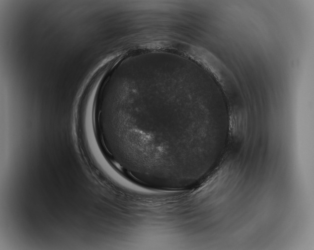 X0000094780724200711161415