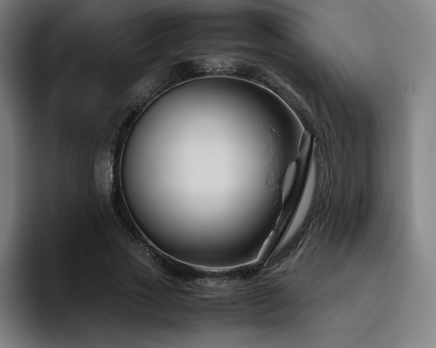 X0000094780733200711161415